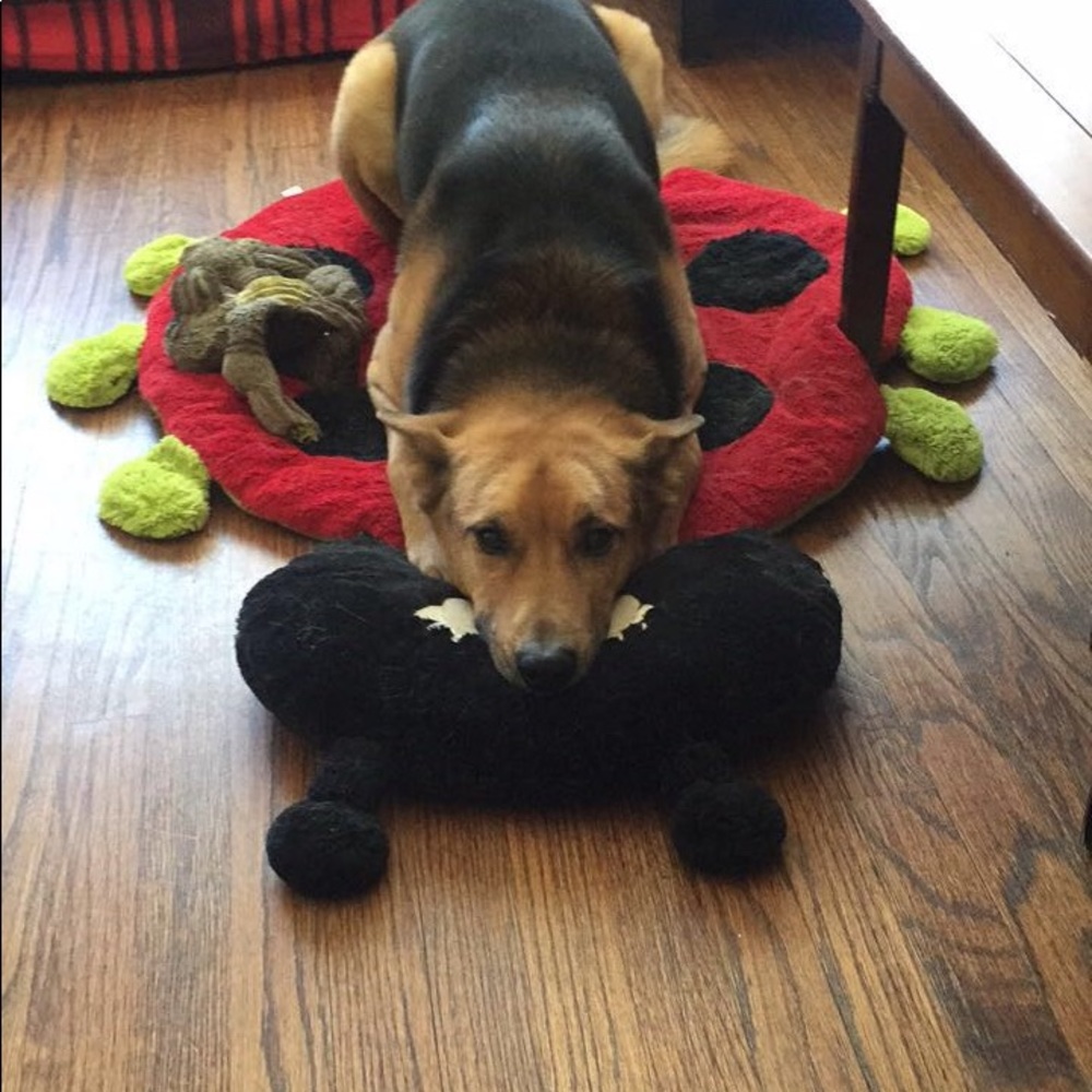 Meet your Posher, Zusi